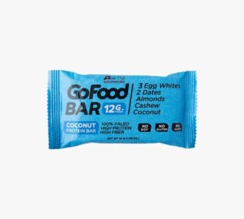 Go Food Ginger Vegan Bar 56gm