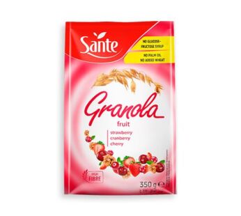 Sante Granola Fruit 350gm
