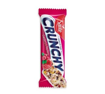 Sante Crunchy Bar Cherry & Blueberry 40gm